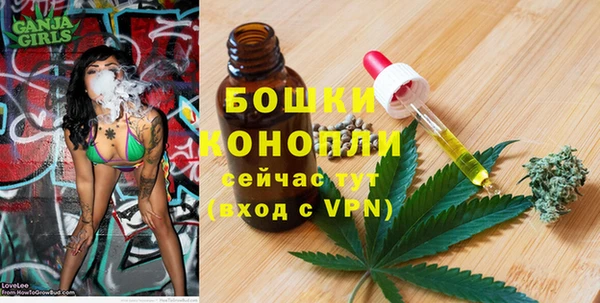 сатива Карталы