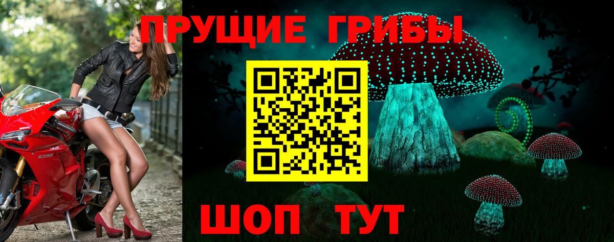 Пенза  Псилоцибиновые грибы мицелий  Вход с VPN 